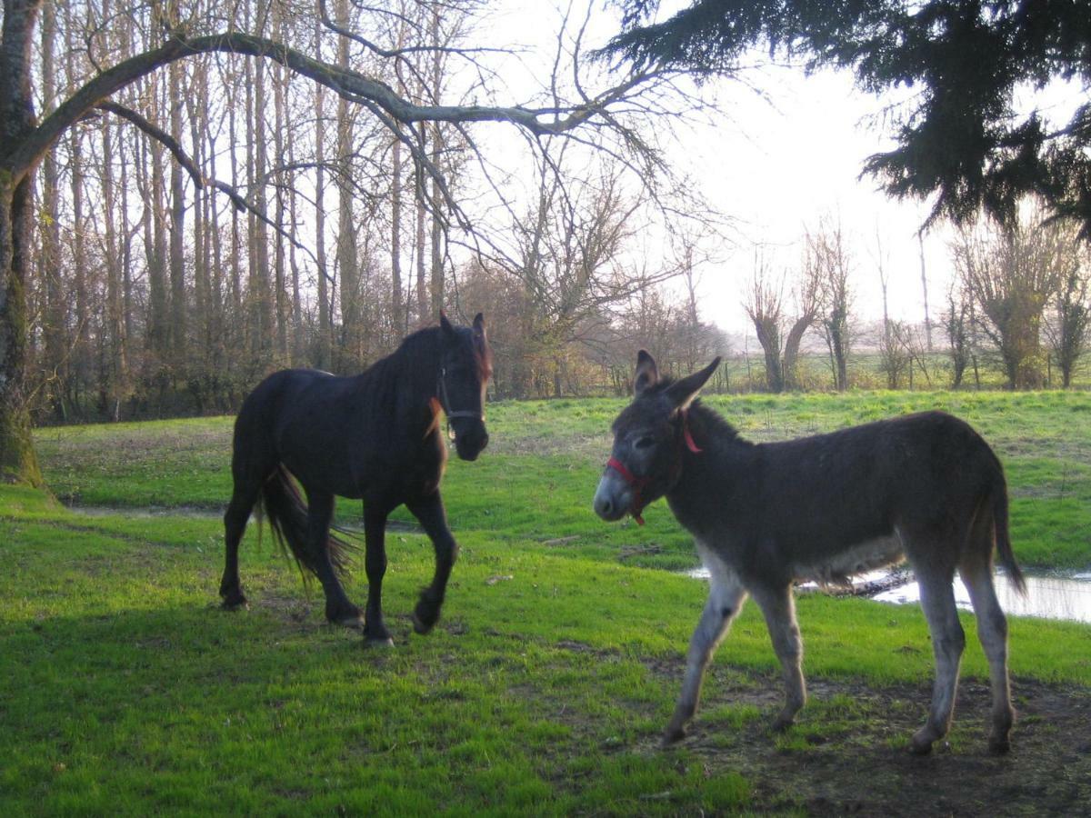 La Ferme De Tigny Villa Exterior foto